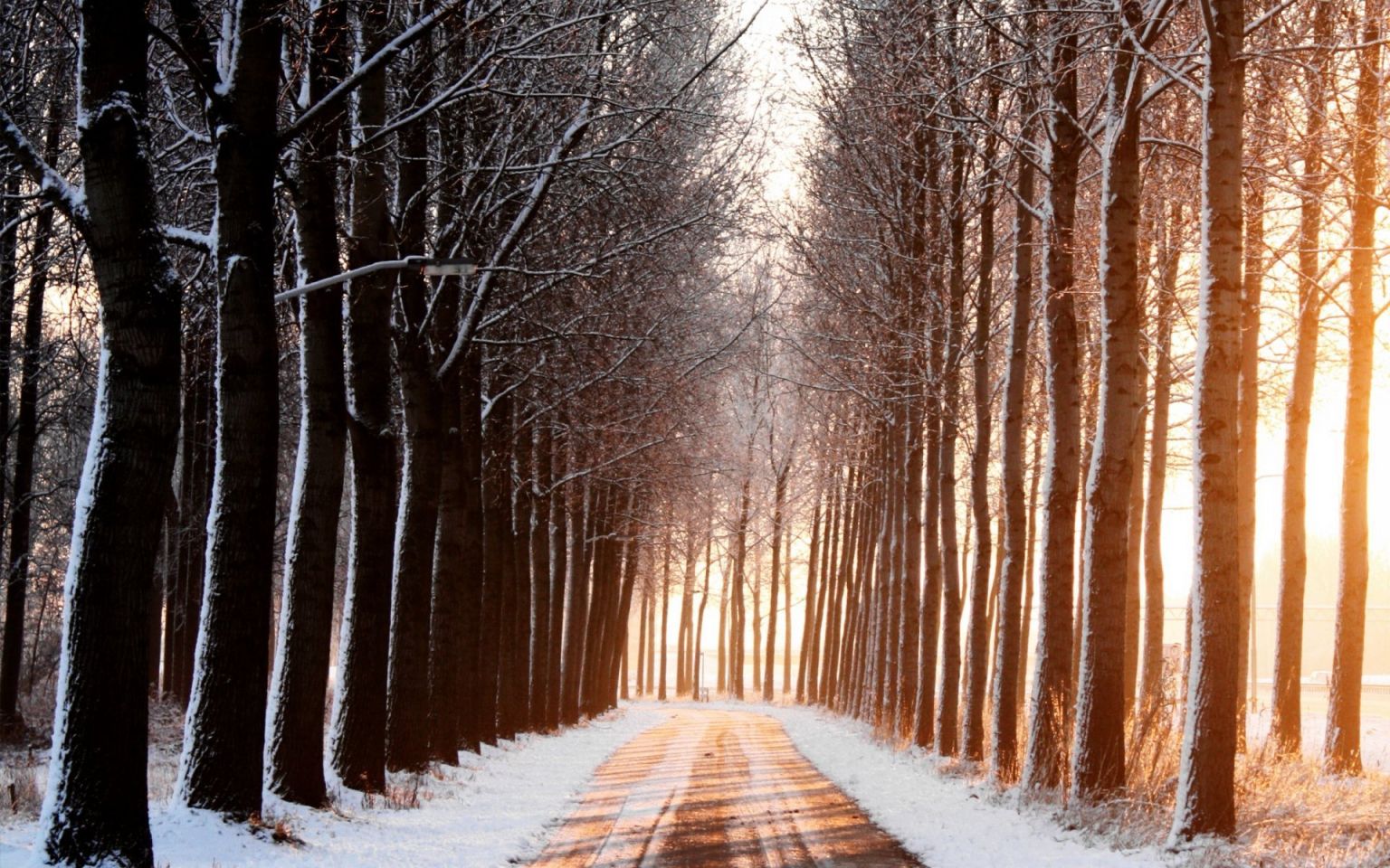 Зима дорога деревья