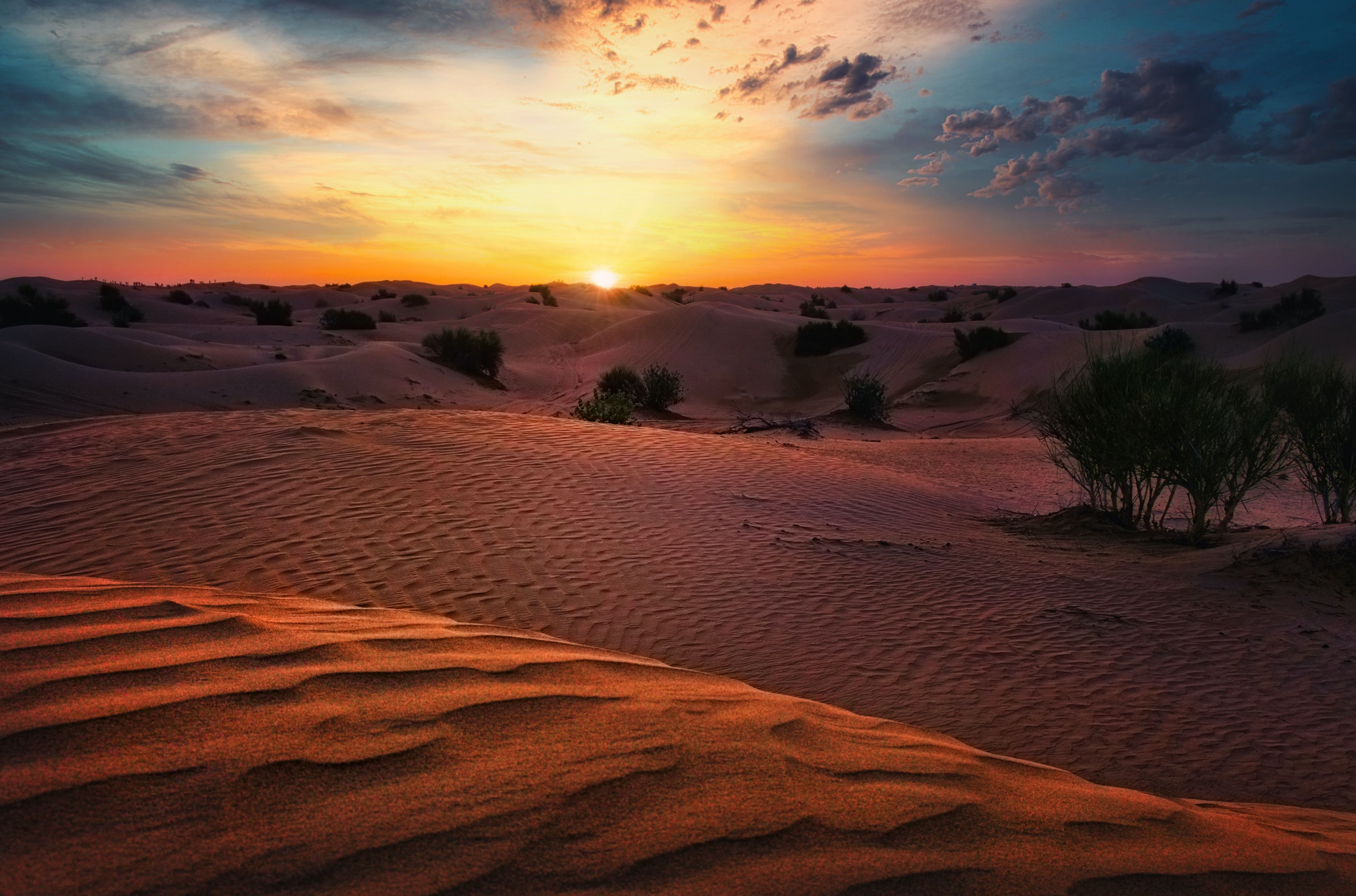 Негев пустыня закат