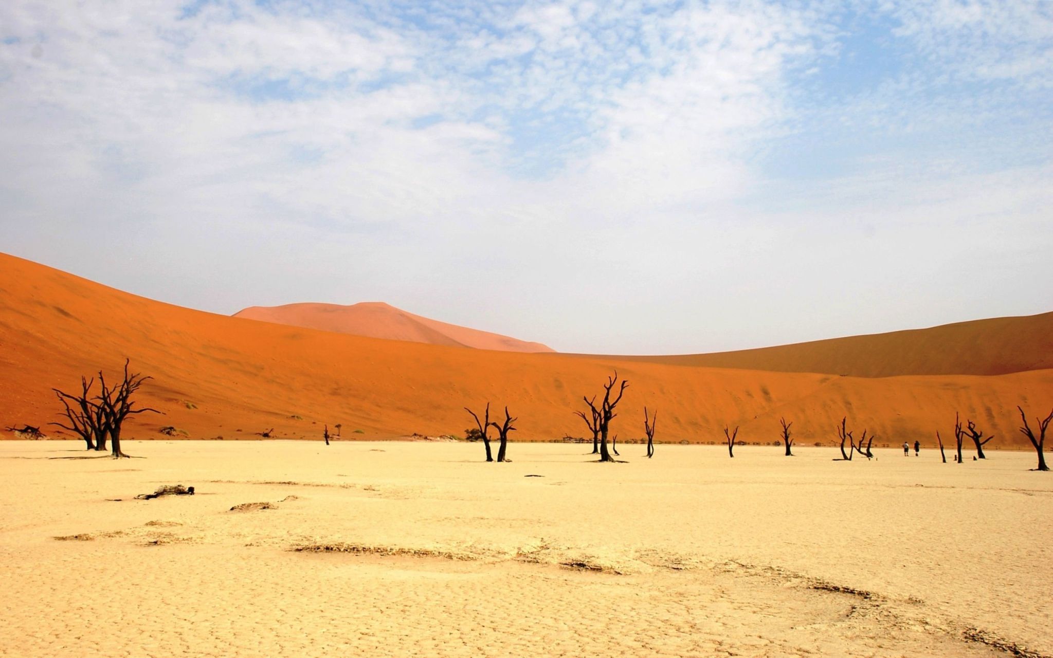 Пески пустыни Сары Агач в Казахстане