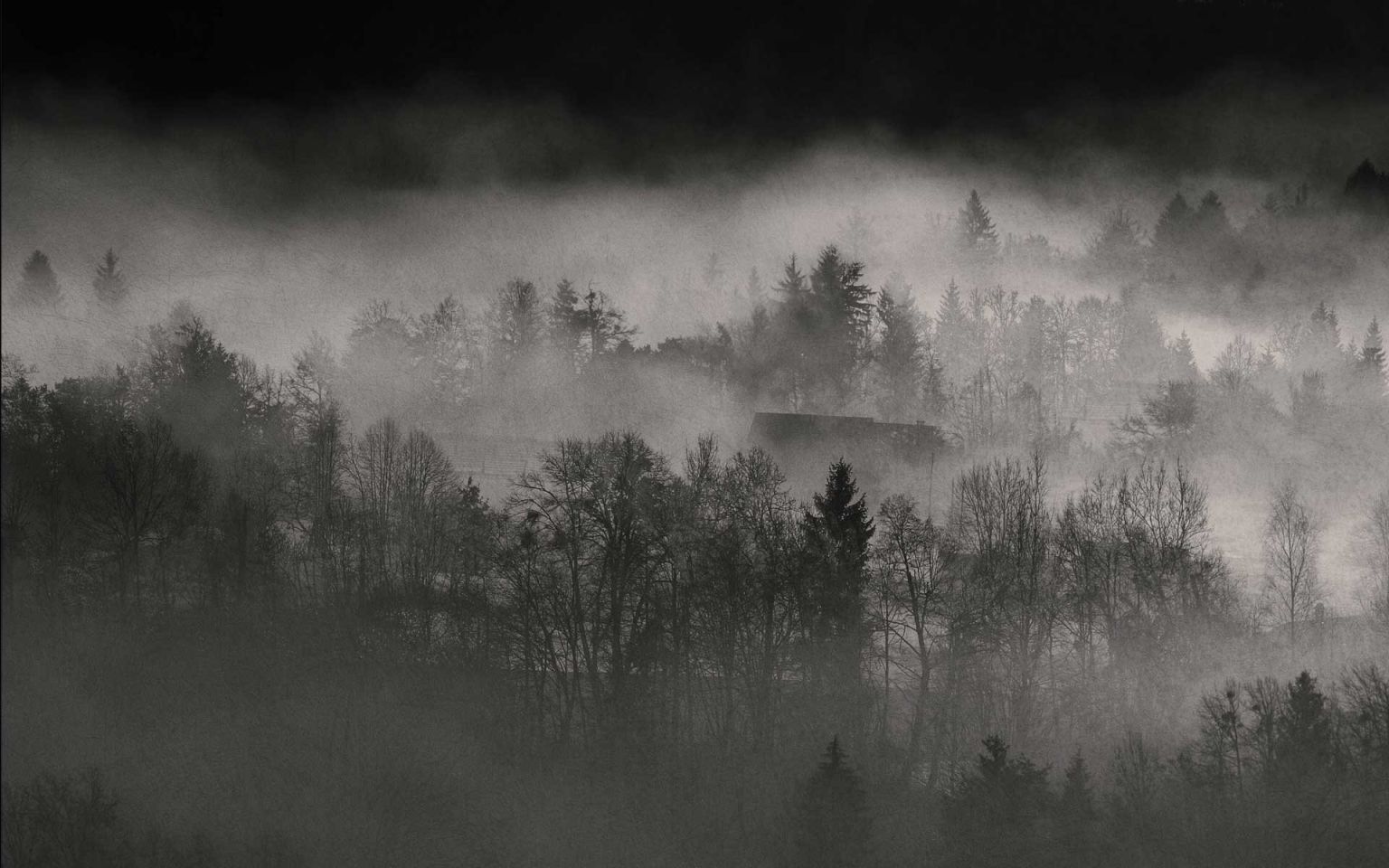 Серый туман
