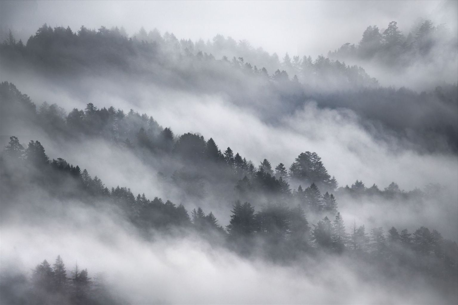 Фреска горы в тумане