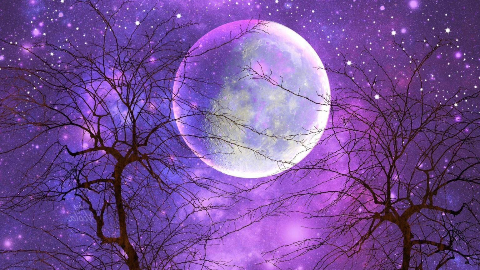 Фиолетовая ночь