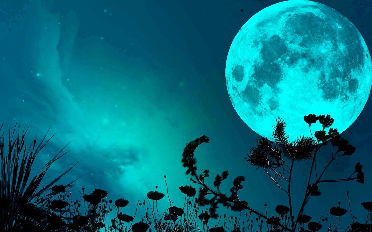 Ночь Луна