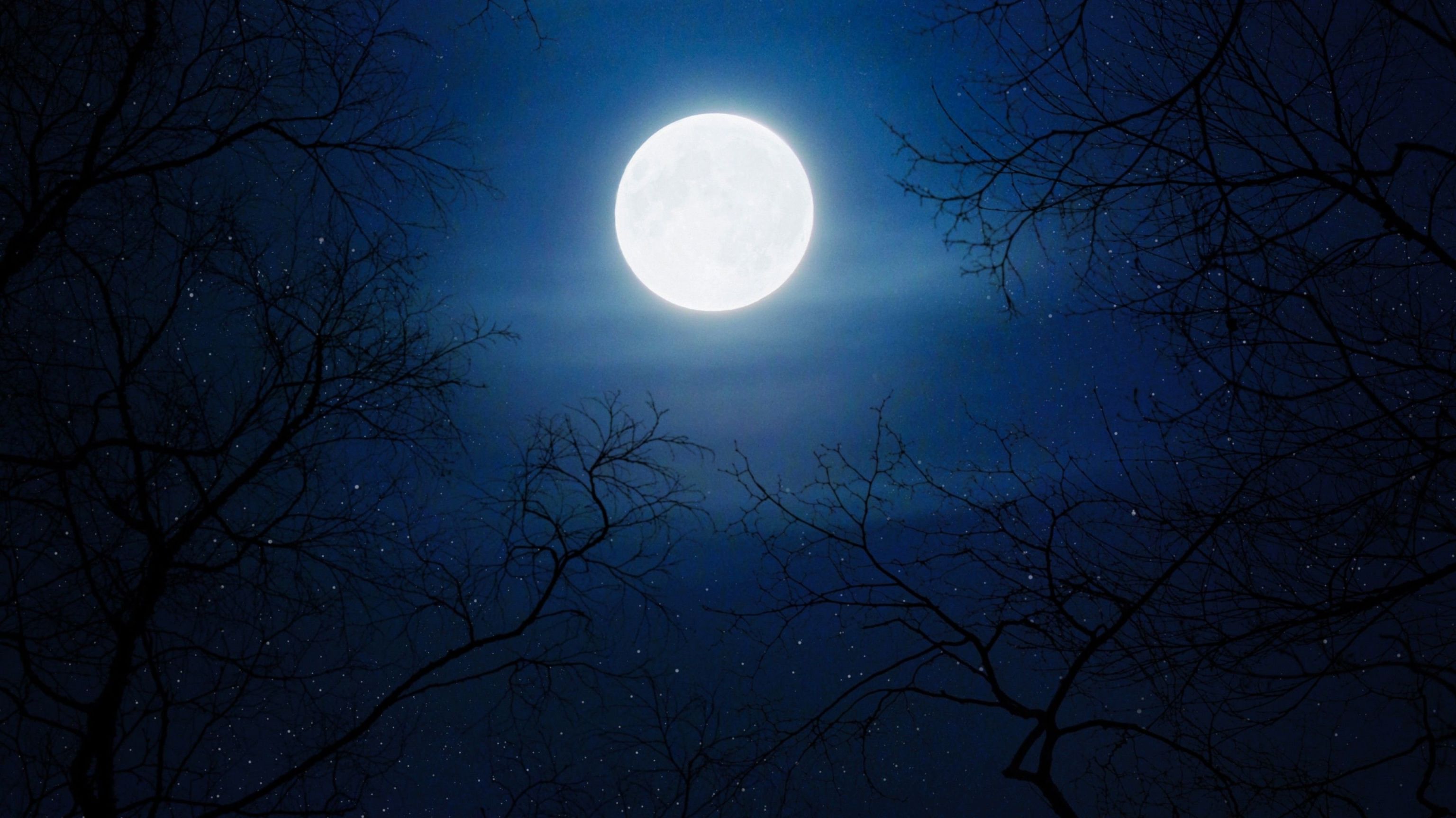Фото ночное небо со звездами и луной