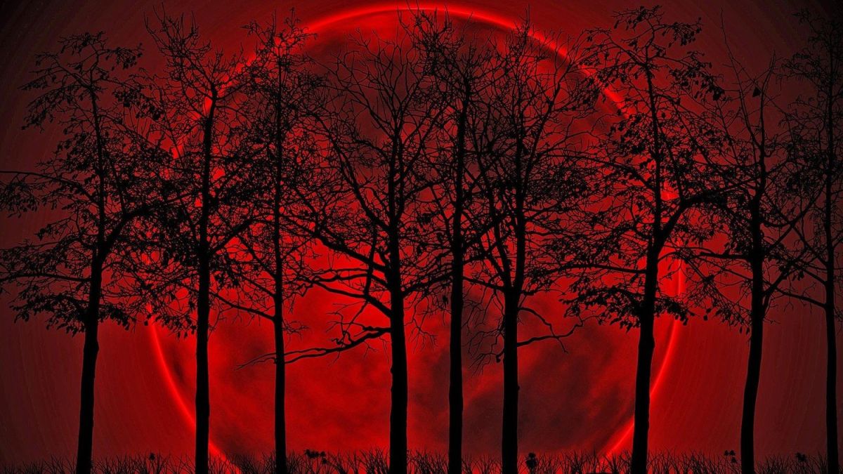 Кроваво красная Луна