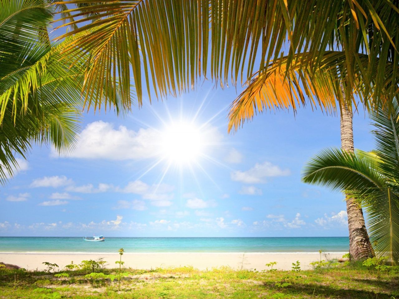 Море пляж пальмы солнце