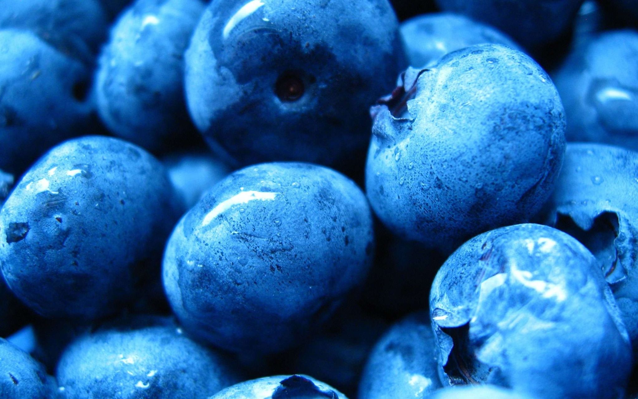 Темно синие ягоды