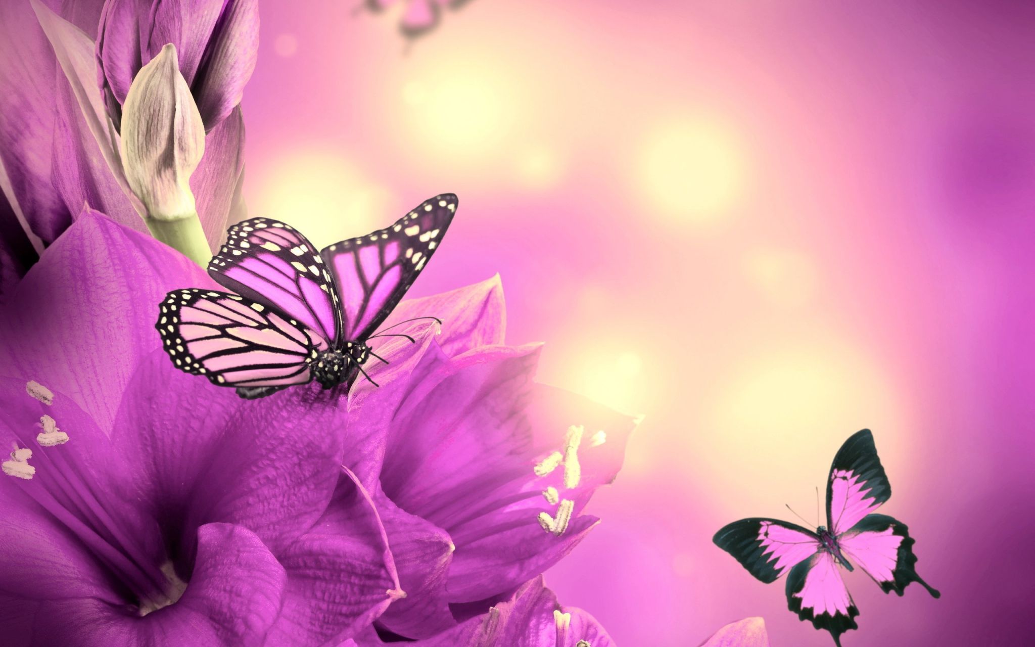 Бабочки розово сиреневые