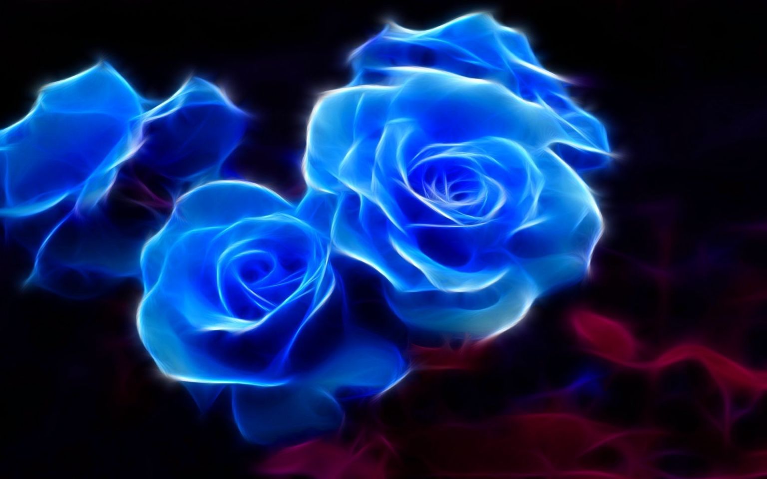Светло голубые розы