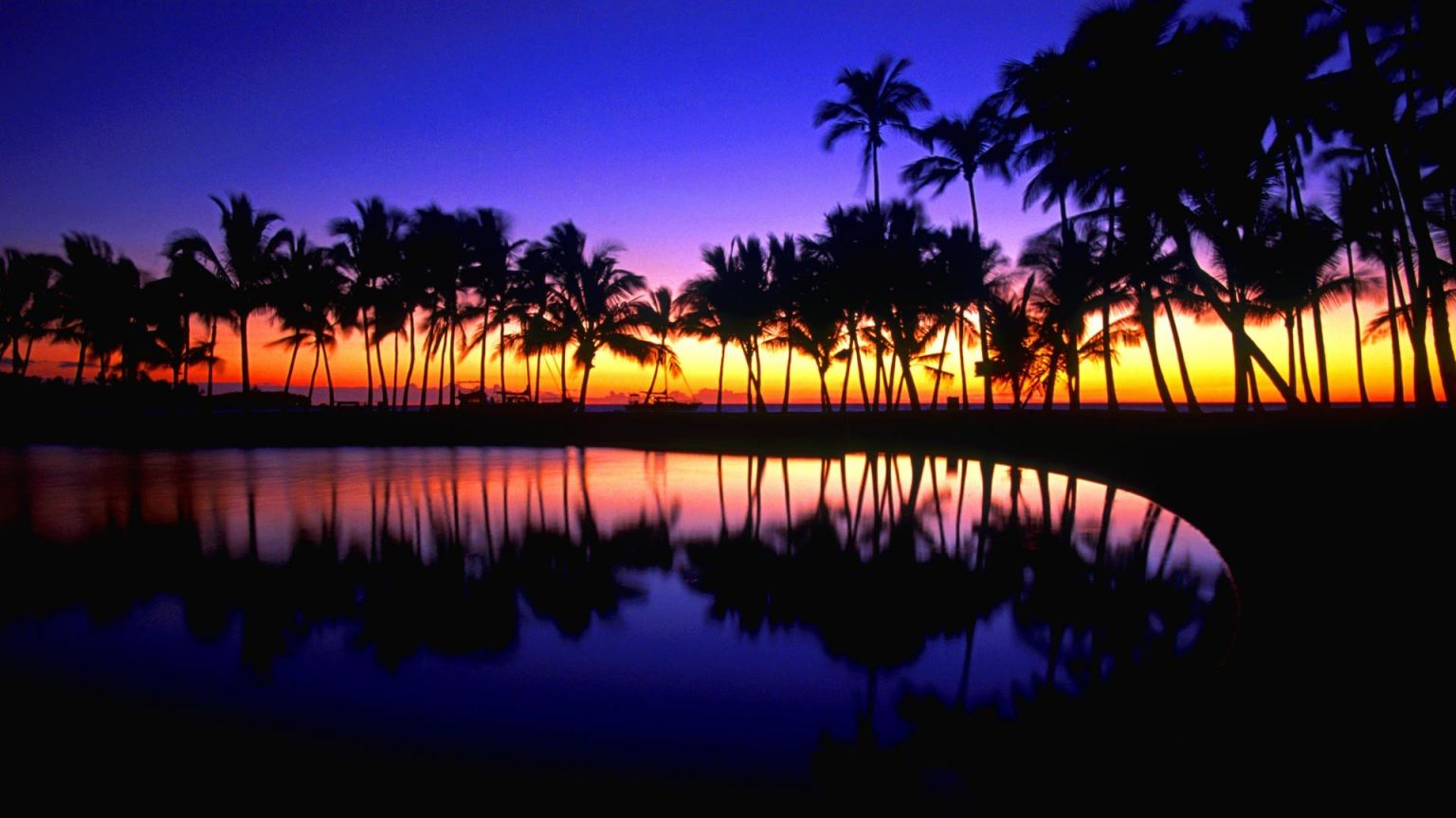 Гавайи закат пальмы