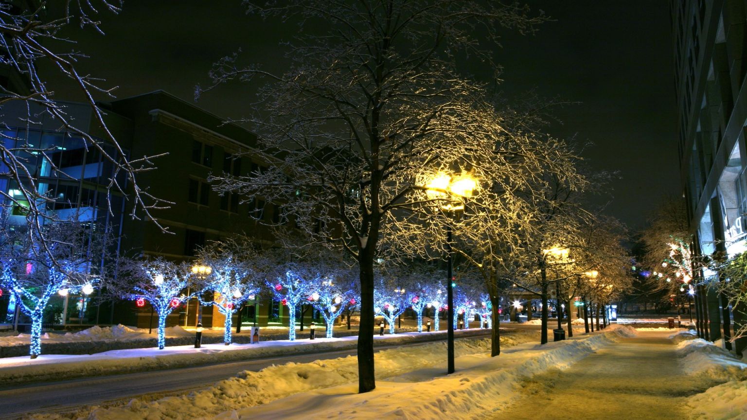 Городской парк культуры Калуга зимой