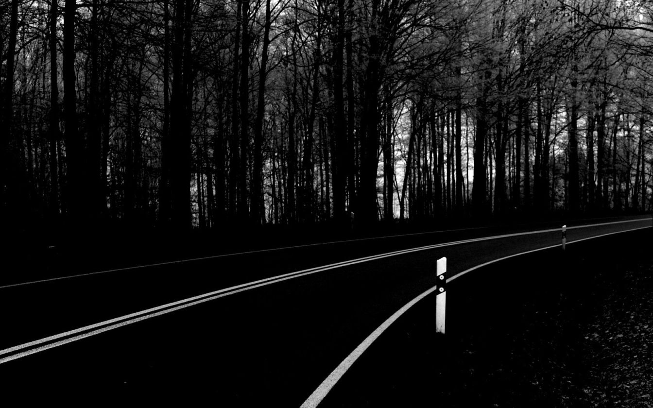 Темный черный лес с дорогой