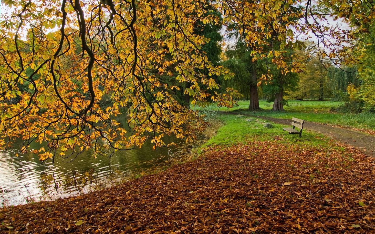 Золотая осень парк тропинка пруд