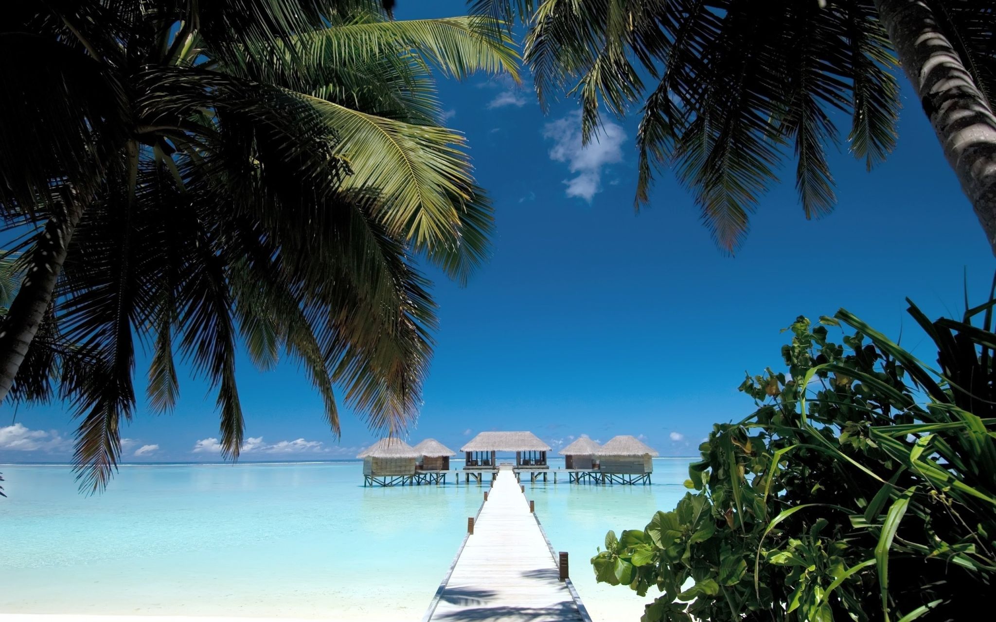 Мальдивы, океан, пальмы, бунгало