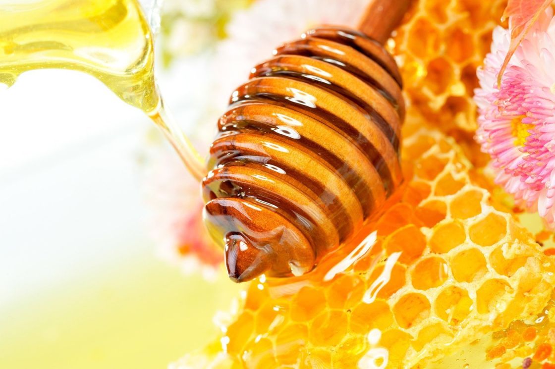 Соты пчелиные с медом