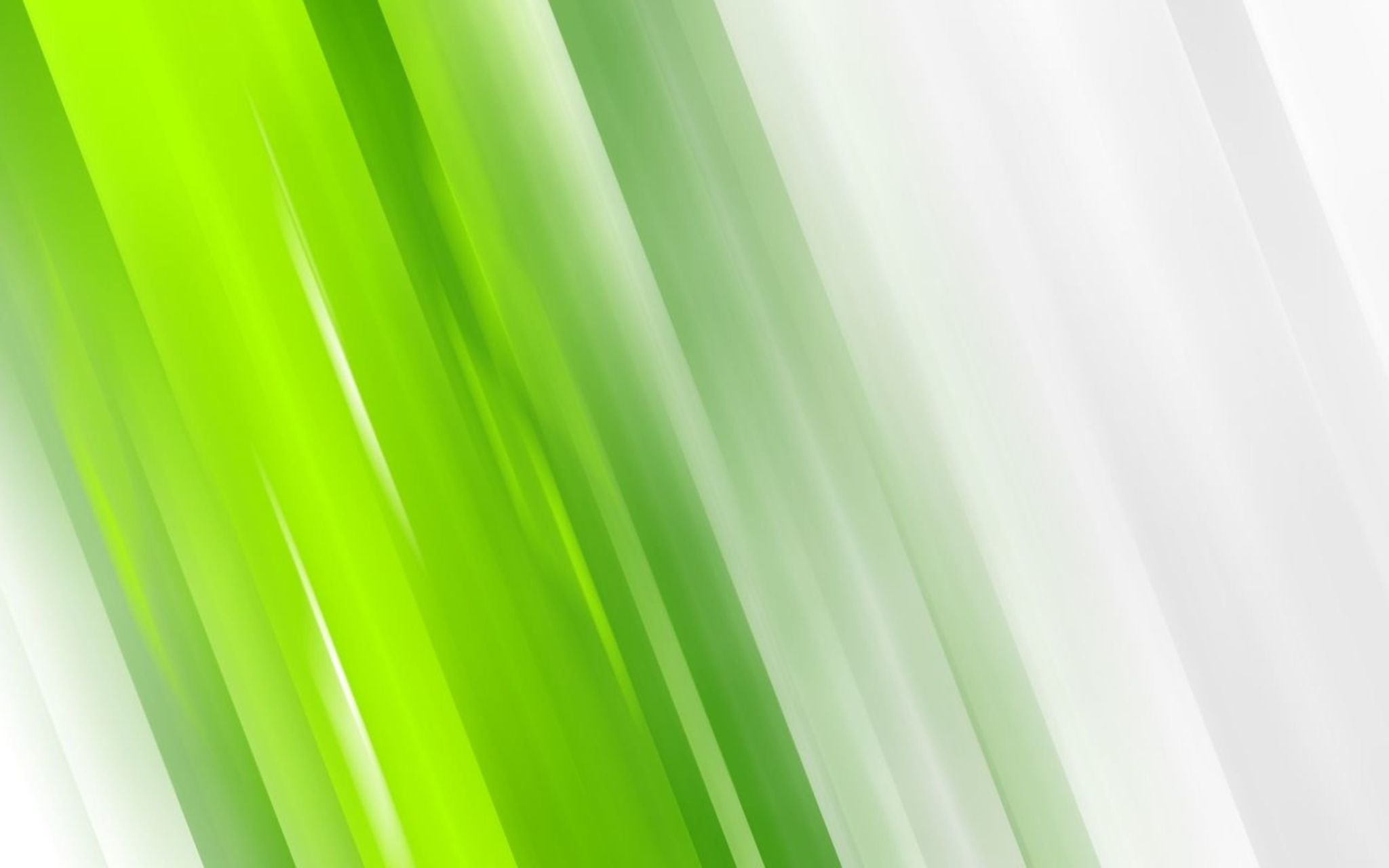 Бело зеленый фон