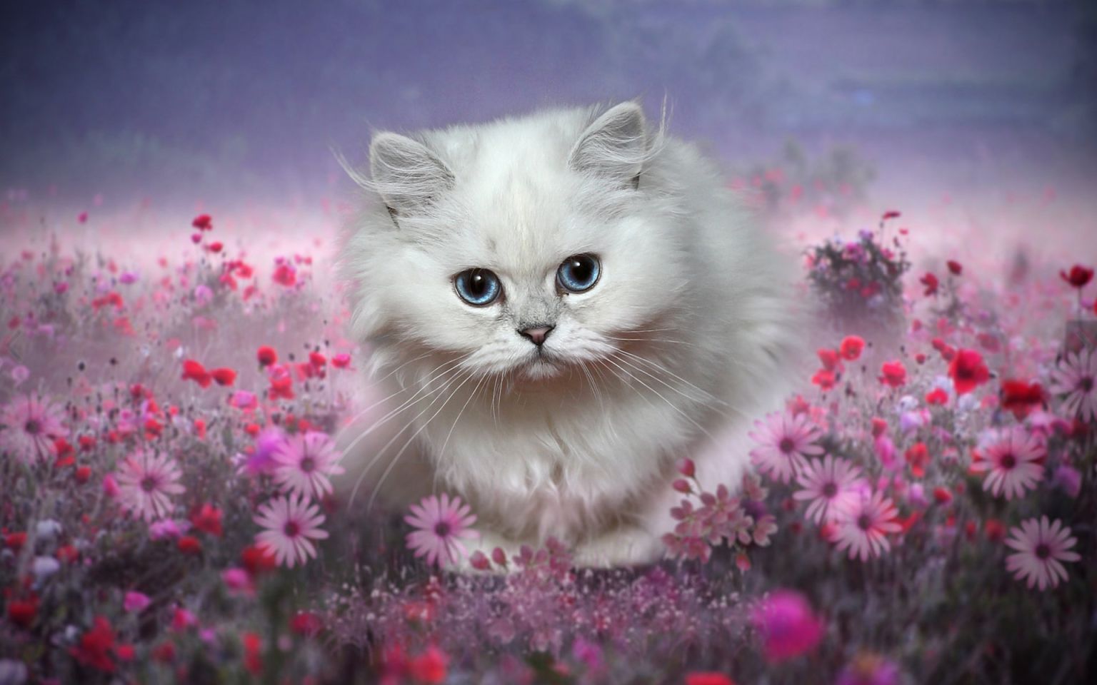 Милые котята с цветами