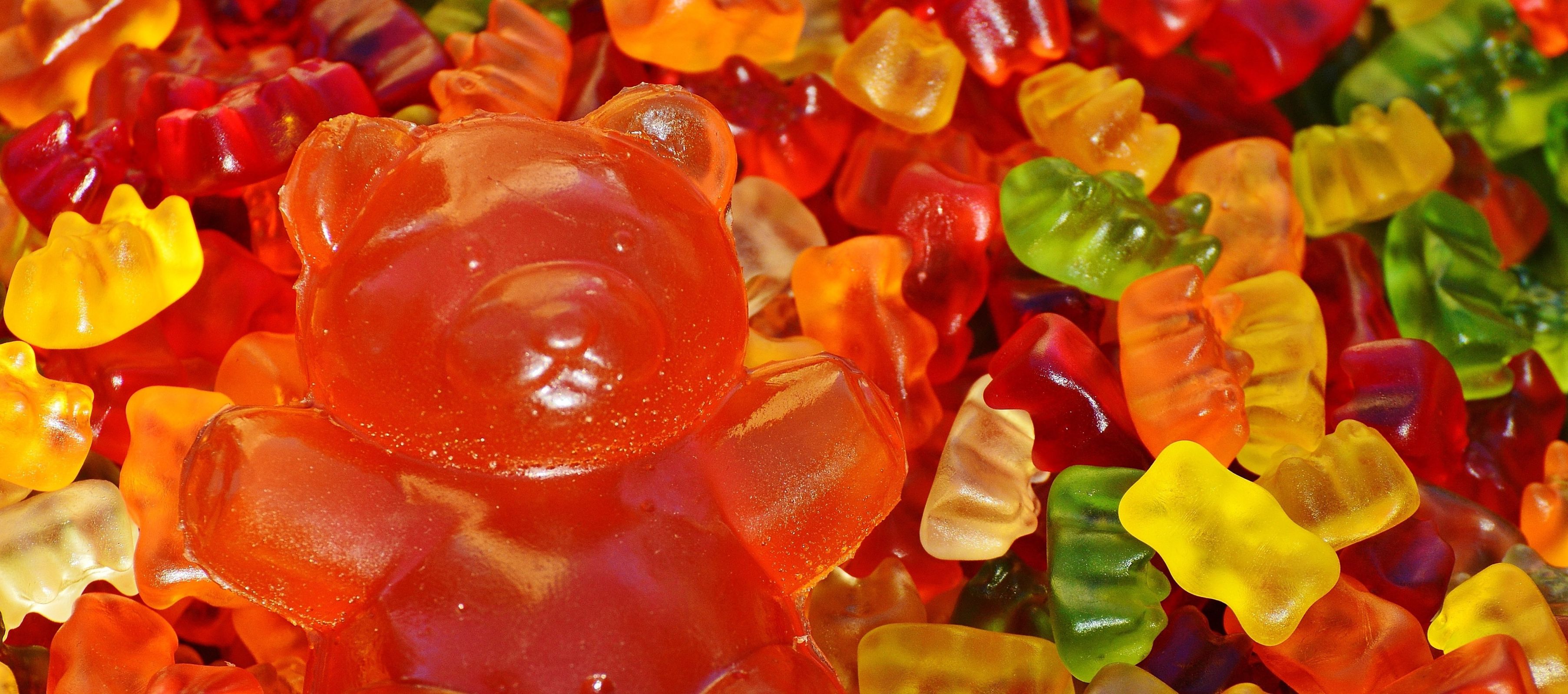 Haribo Gummi Bears